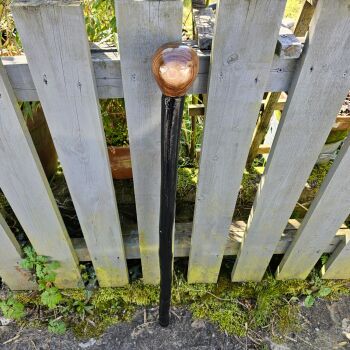 IRISH BLACKTHORN WALKING STICK WITH A black walnut handle