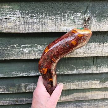 HEAVY IRISH BLACKTHORN WALKING STICK 795ew