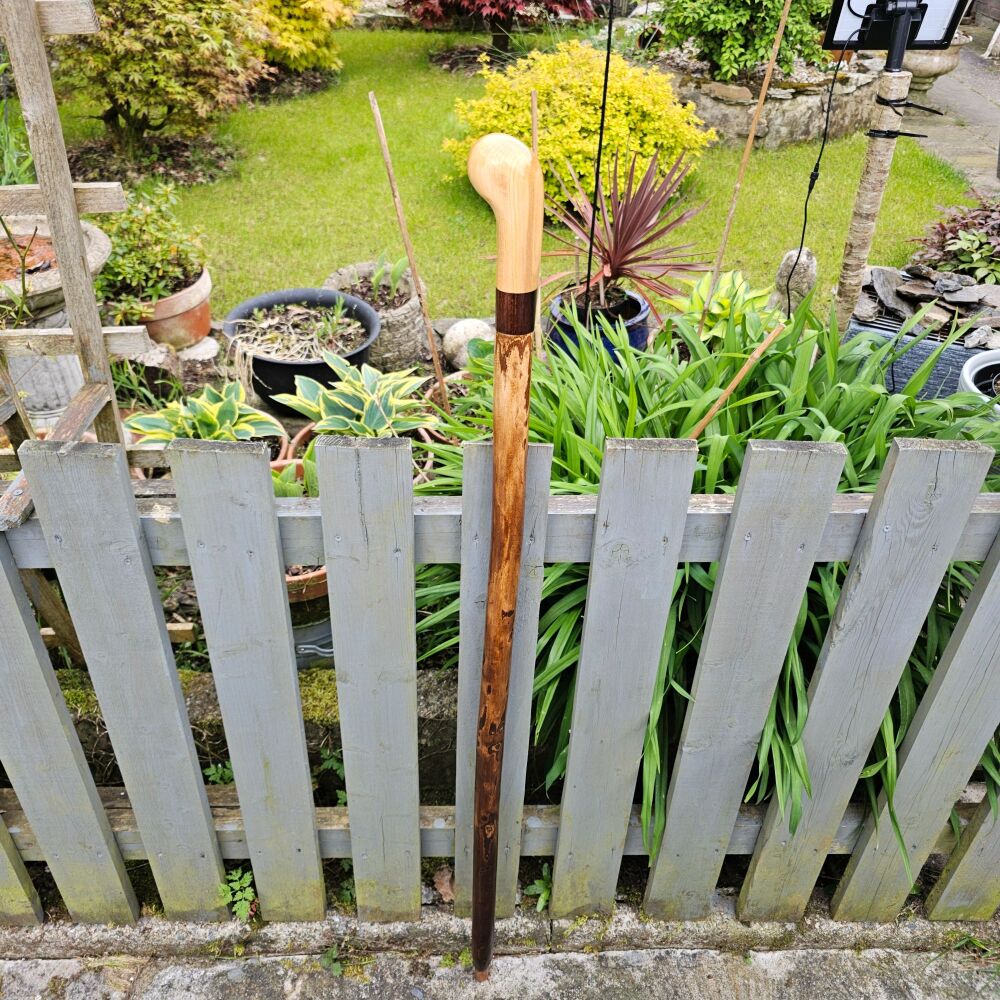 IRISH HAZEL HIKING STICK WITH AN IRISH WILD CERRY TOPPER 50 INCHES LONG 799