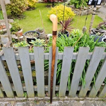 IRISH HAZEL HIKING STICK WITH AN IRISH WILD CERRY TOPPER 50 INCHES LONG 799EW