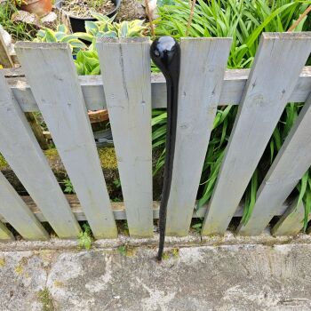 IRISH BLACKTHORN WALKING STICK 39 inches long 801ew