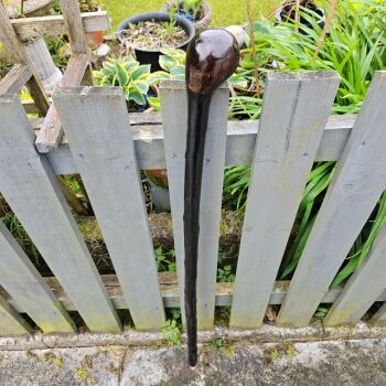 42 inch Irish blackthorn walking stick 802ew