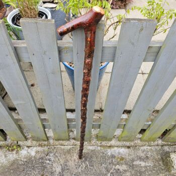 IRISH BLACKTHORN WALKING STICK 803EW