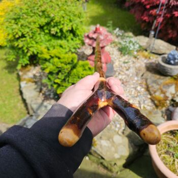 57 inch Irish blackthorn thumb stick 804ew