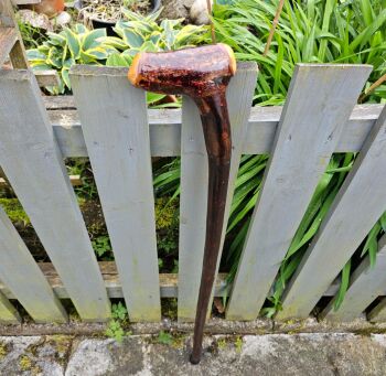 Heavy lump of Irish blackthorn 40 inches long 806ew