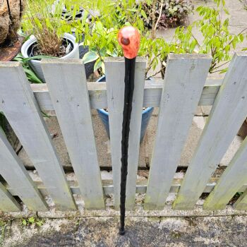 IRISH BLACKTHORN WALKING STICK 807EW