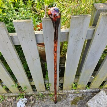 IRISH BLACKTHORN WALKING STICK808EW
