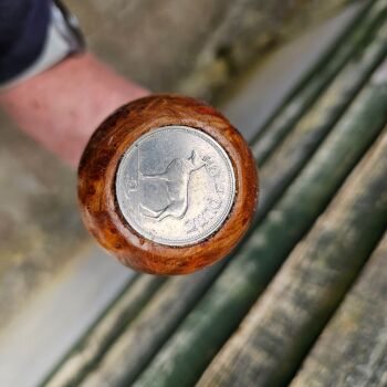 IRISH BLACKTHORN WALKING STICK WITH A BURL ELM HANDLE WITH AN OLD IRISH COIN 811EW