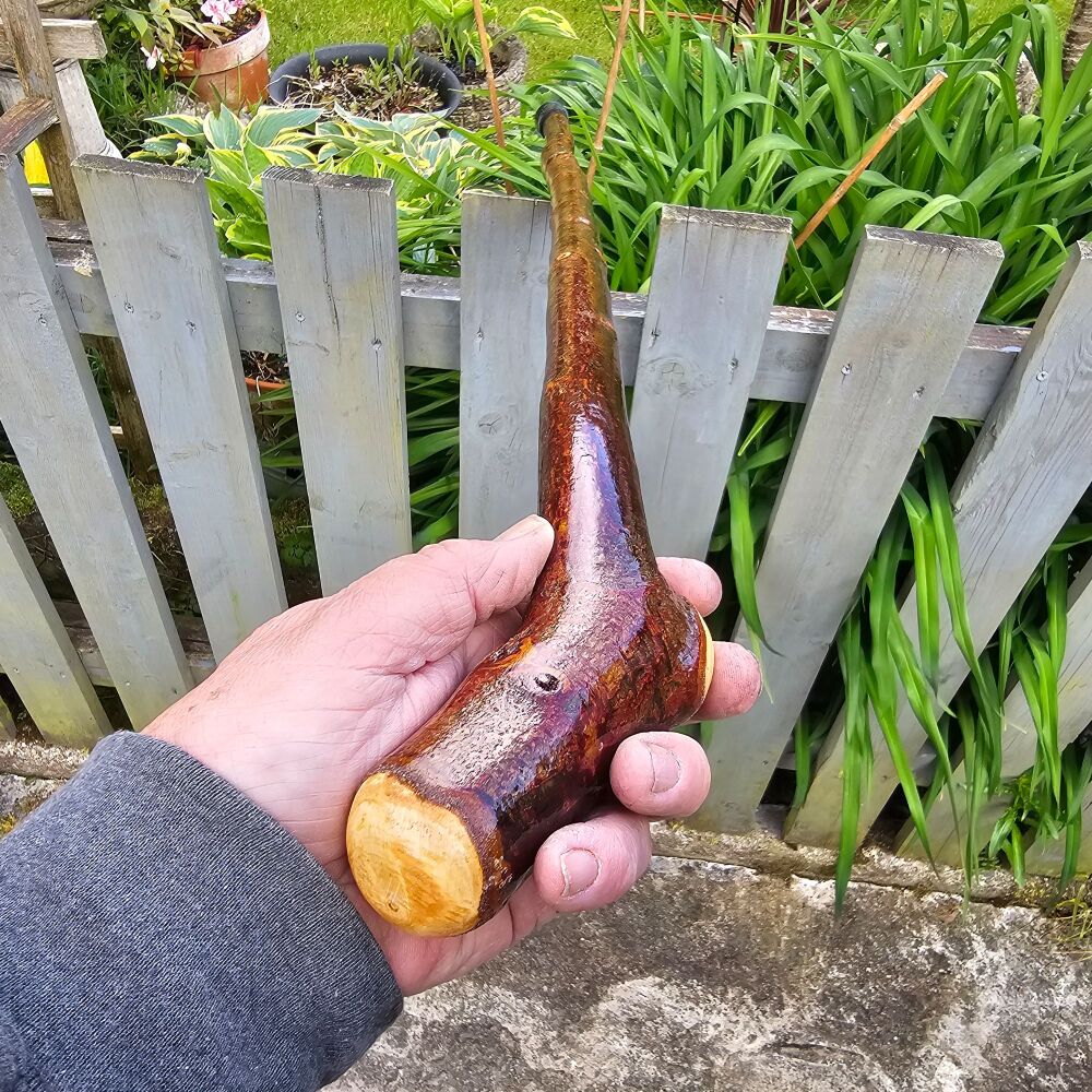 IRISH BLACKTHORN WALKING STICK 815ew
