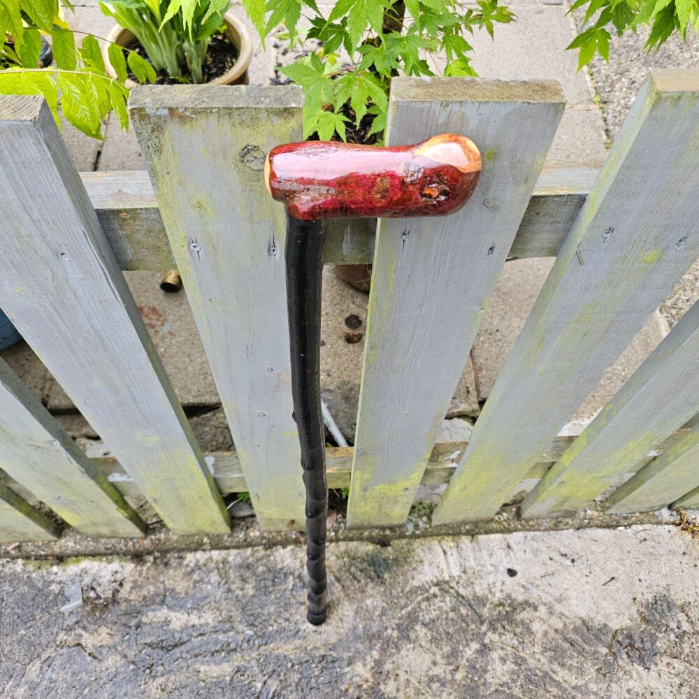 IRISH BLACKTHORN WALKING STICK WITH L SHAPED ROOTBALL HANDLE 816EW