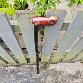IRISH BLACKTHORN WALKING STICK WITH L SHAPED ROOTBALL HANDLE 816EW