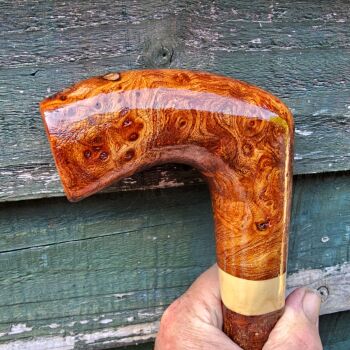 IRISH BLACKTHORN WALKING STICK WITH A BURL ELM HANDLE AND HOLLY SPACER 819EW