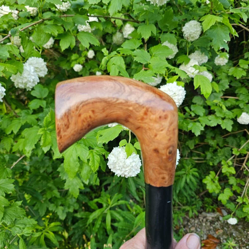 IRISH WHITETHORN WALKING STICK WITH AN IRISH BURR ELM HANDLE 820EW