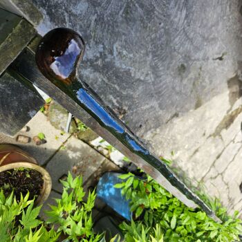 IRISH BLACKTHORN WALKING STICK WITH AN IRISH ASH HANDLE 822EW