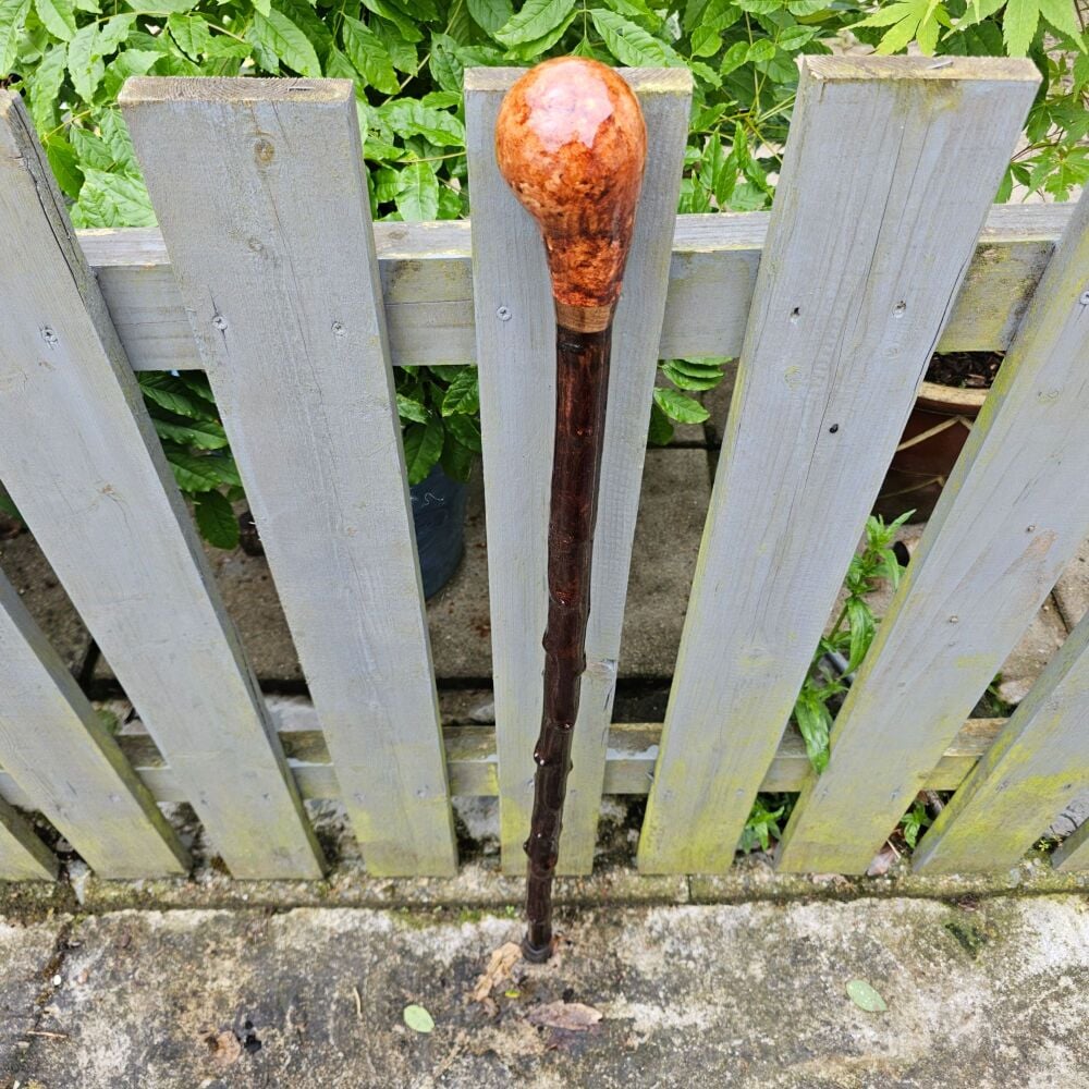 IRISH BLACKTHORN WALKING STICK WITH AN IRISH ASH HANDLE AND AN IRISH BOG OA