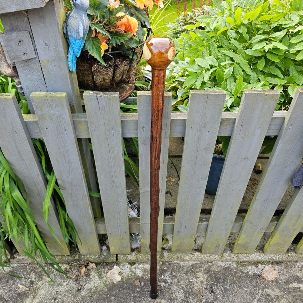 IRISH SILVER BIRCHWALKING STICK WITH AN IRISH LABURNUM TOPPER 830EW