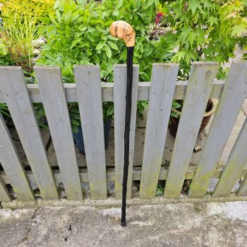 IRISH WHITETHORN/HAWTHORN WALKING STICK WITH AN IRISH SPALTED BEECH HANDLE 831EW
