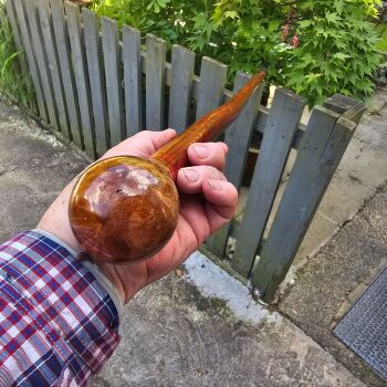 IRISH HAZEL WALKING/IKING STICK WITH A BURR ELM KNOB HANDLE 835EW