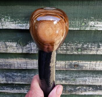HEAVY IRISH BLACKTHORN WALKING STICK WITH AN AMERICAN BLACK WALNUT HANDLE AND AN OLD IRISH COIN EMBEDDED IN THE HANDLE 836EW