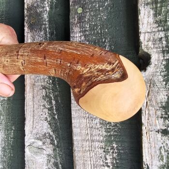 IRISH HAZEL WALKING STICK 40 INCHES LONG 838AL