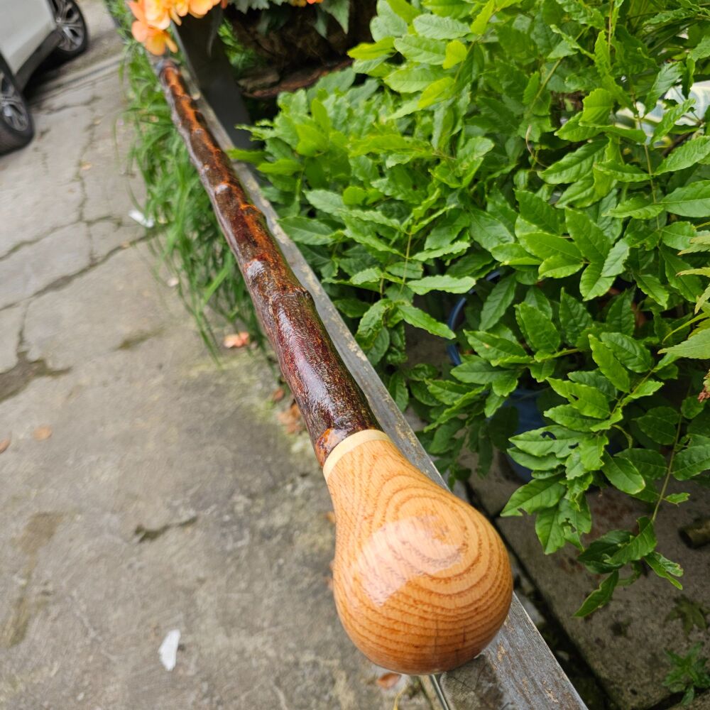 IRISH BLACKTHORN WALKING STICK WITH AN IRISH ASH HANDLE AND A BOG OAK SPACE
