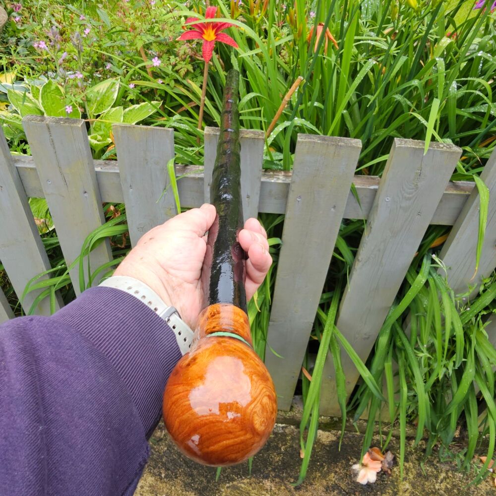 IRISH BLACKTHORN WALKING STICK WITH AN IRISH BURL ELM HANDLE 843EW
