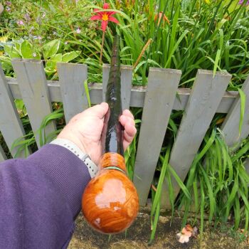 IRISH BLACKTHORN WALKING STICK WITH AN IRISH BURL ELM HANDLE 843EW