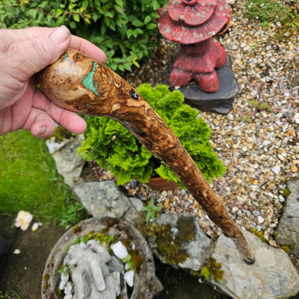 IRISH GORSE WALKING STICK A VERY RARE FIND 844EW