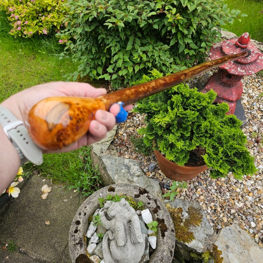 47 INCH IRISH HAZEL HIKING STICK WITH AN IRISH BURL YEW TOPPER 847EW