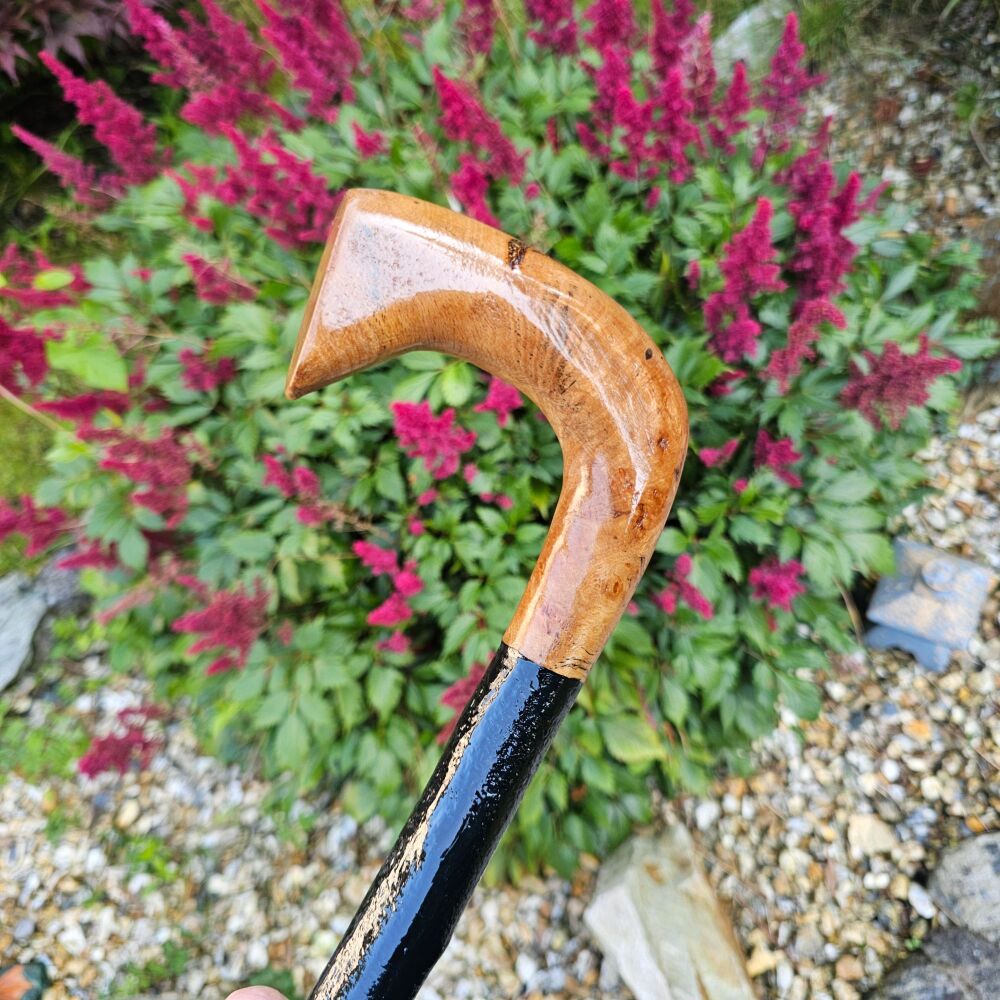 IRISH BLACKTHORN WALKING STICK WITH A BURL ELM HANDLE 850EW