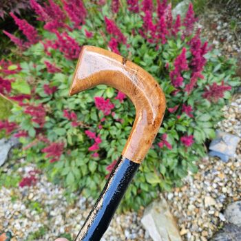 IRISH BLACKTHORN WALKING STICK WITH A BURL ELM HANDLE 850EW