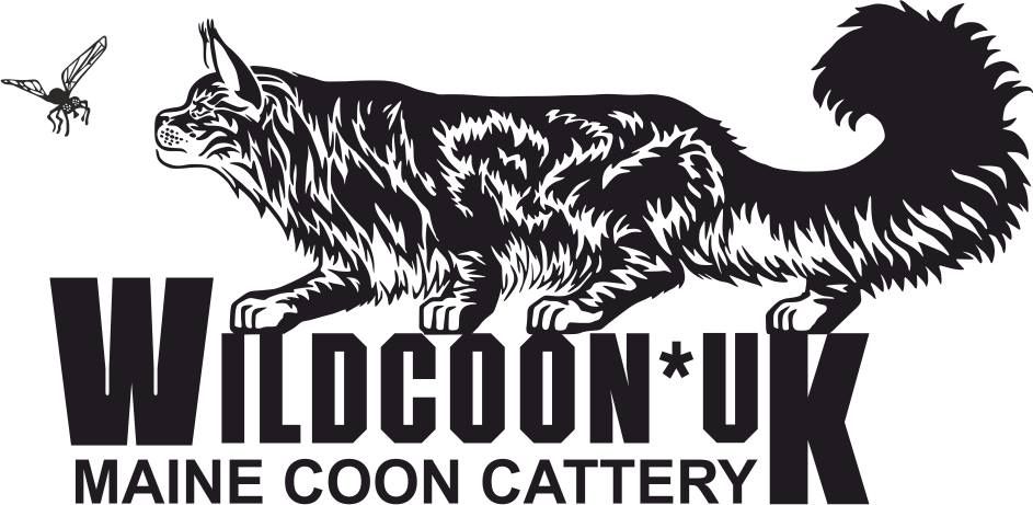 logo wildcoon