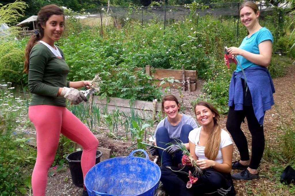 Concordia international volunteers