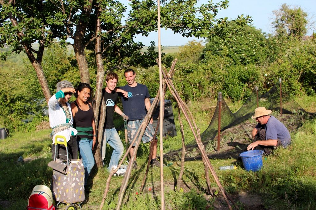 New Roots community allotment