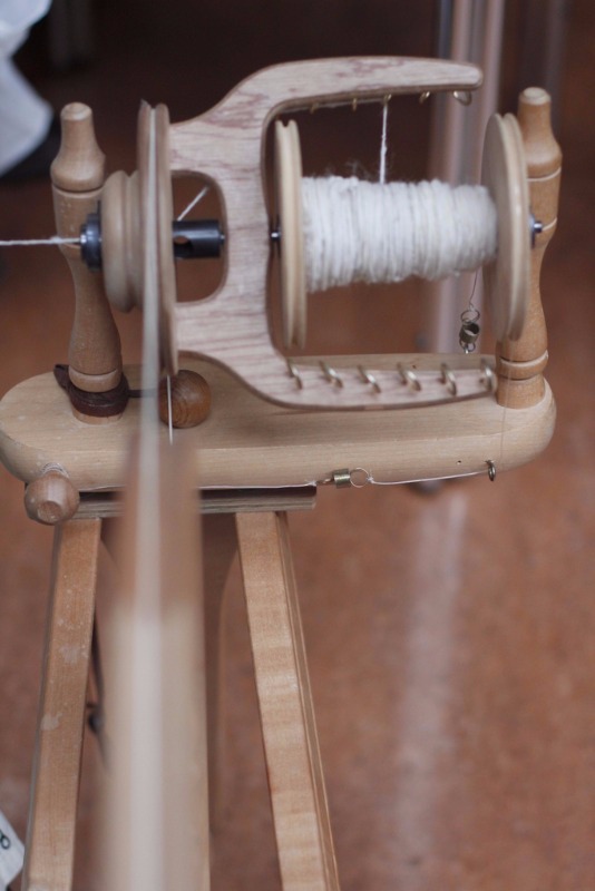 seedy sunday brighton 2015 spinning wheel