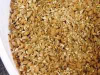 The mixed grain waiting to be added to the Mash Tun