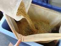 Adding the first batch of grain to the mash bag