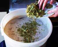 When it comes to the boil, add the first batch of hops