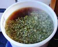Then add the late boil hops for aroma