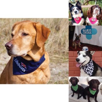 Branded Dog Bandanas