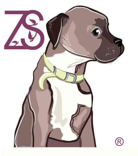 Registered-ZS-logo