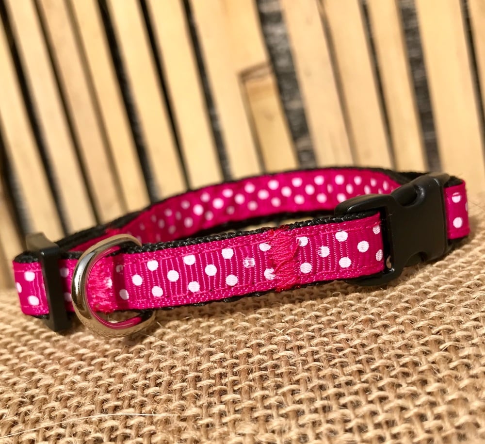 Bright Pink Polka dot spotty small dog collar fuchsia