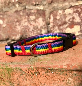 Rainbow adjustable dog puppy collar pride LGBT 