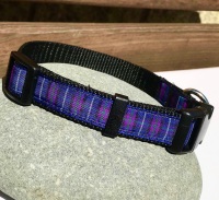 Pride Of Scotland Blue And Purple Tartan Dog Collar
