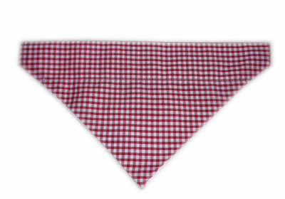 Country Pupkin' Red Gingham Dog Bandana