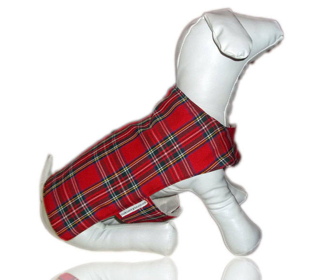 Red-Tartan-Dog Coat-A