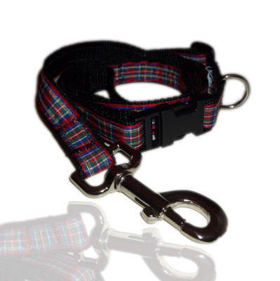Red Green And Blue Royal Stewart Tartan Dog Collar Lead Set