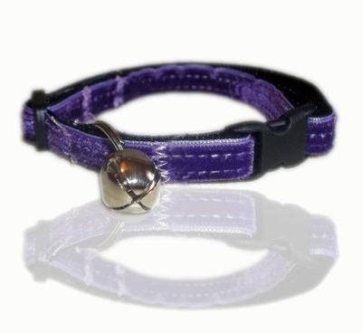 purple maid velvet ribbon cat collar