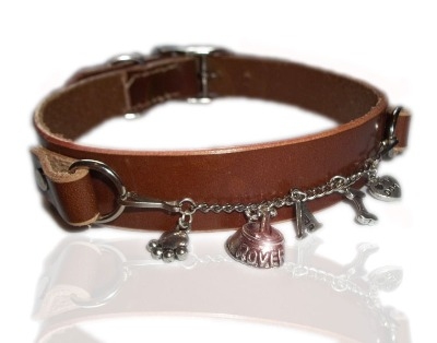 Leather Contemporary Pet Charm Collars In Various Colours
