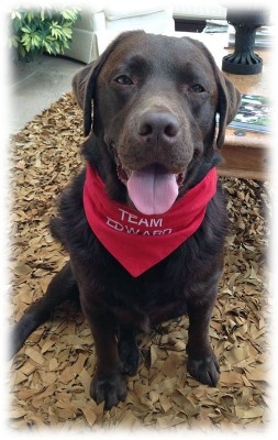 Name And Slogan Personalised Bandanas